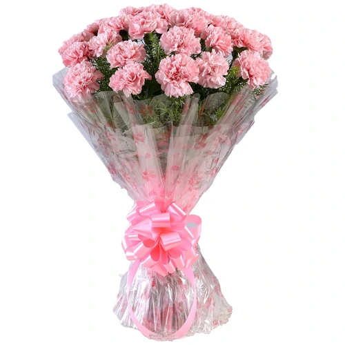 Beautiful Bouquet of Pink Carnations