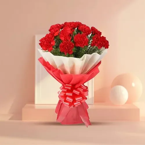 Online Hand Bouquet of Red Carnations in Tissue Wrapping