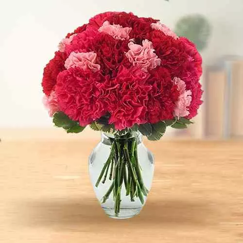 Send online this lovely Glass Vase full of Pink & Red Carnations