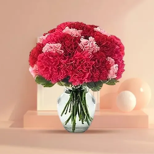 Lovely Pink N Red Carnations in Vase