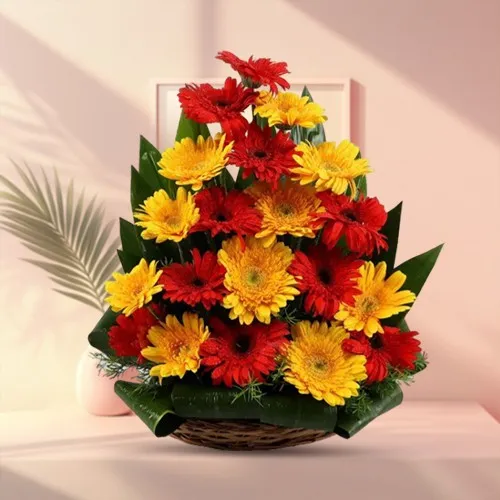 Majestic Table Top Arrangement of Yellow N Red Gerbera Flowers