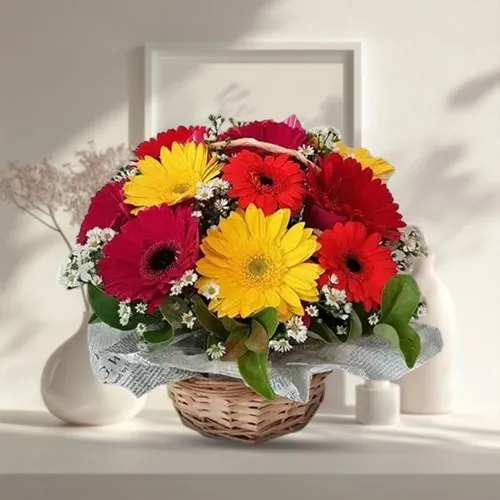 Deliver Lovely Arrangement of One Dozen Mixed Gerberas in a Basket 