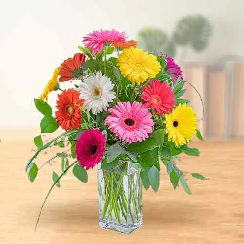 Order Delightful Assorted Gerberas in Glass Vase