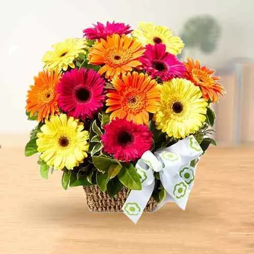 Appealing Gerbera Mixed Bag