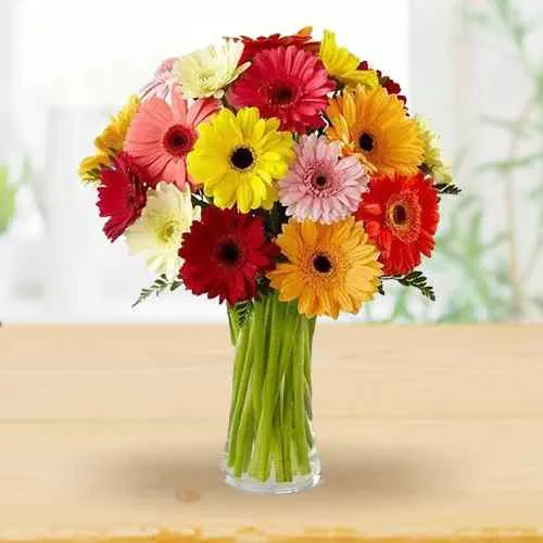 Vibrant Mixed Gerberas in Glass Vase