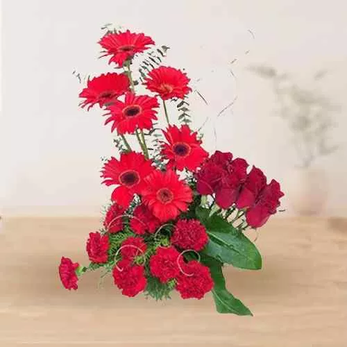 Carnations n Rosy Gerberas