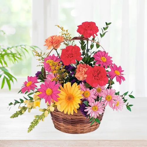 Shop for Impressive Carnations & Gerberas Basket