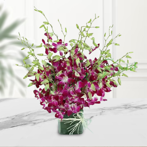 Vibrant Orchids in Glass Vase
