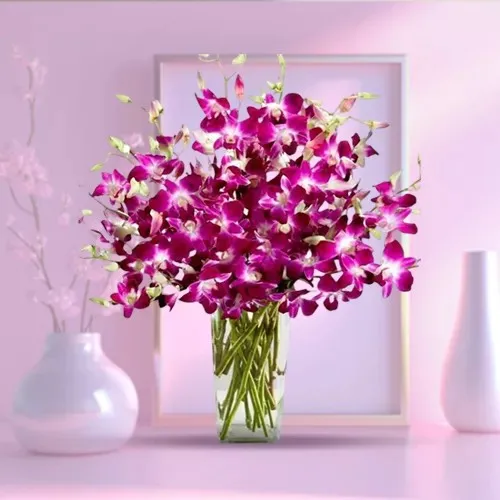 Shop Elegant Collection of Orchids in a Glass Vase