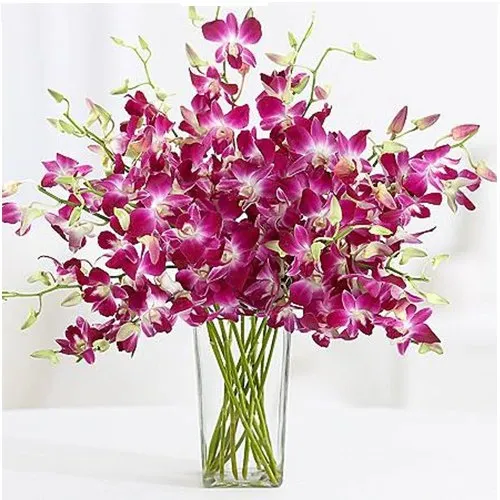Bright Orchids in Glass Vase