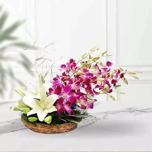 Smiling Orchids n Lily Smiling Orchids n Lily