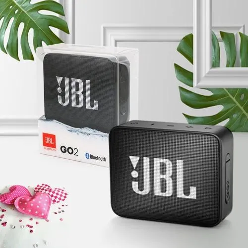 Playful JBL Portable Wireless Bluetooth Speaker