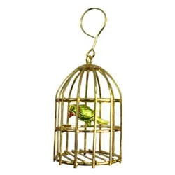 Golden Plated Stylish Bird Cage with Colorful Parrot