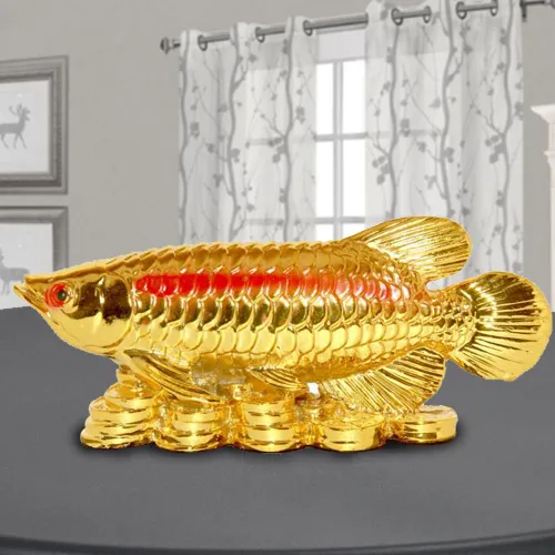Deliver Golden Arowana Fish
