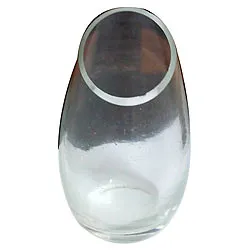 Buy Designer Glass Vase-FFR2M/R2L