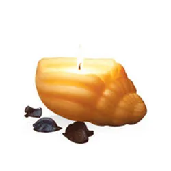 Shop for IRIS Sea Shell Candle Set