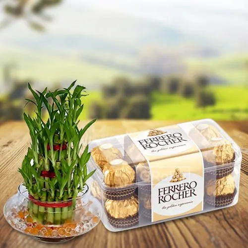 Send 2 Tier Bamboo Plant with Ferrero Rocher Chocolates