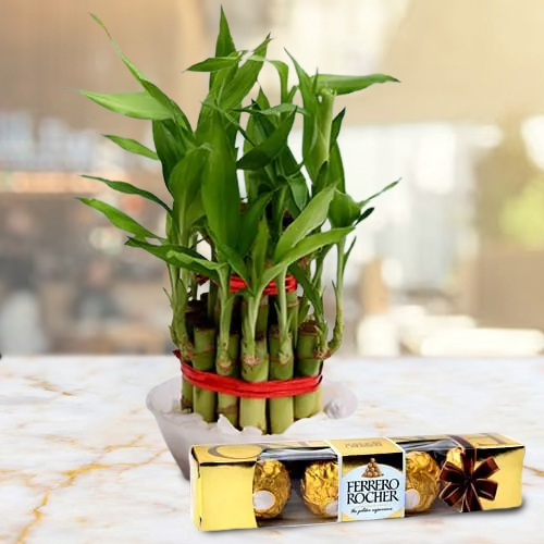 Remarkable 2 Tier Bamboo Plant with Ferrero Rocher Chocolates