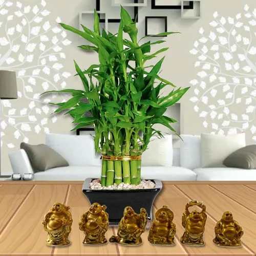 Deliver Two Tier Bamboo Plant with Set of Laughing Buddha 