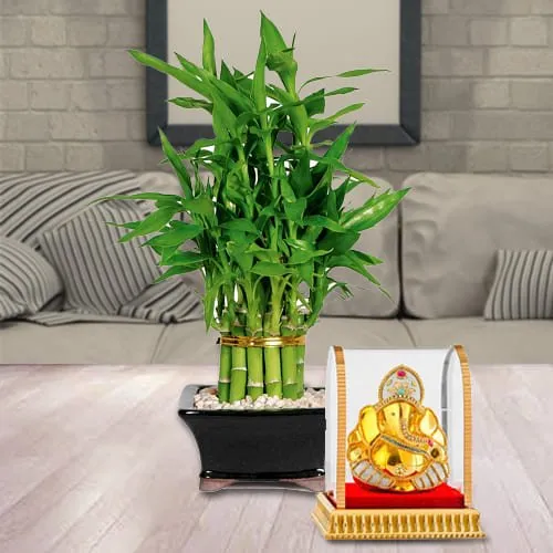Deliver Gift of Vighnesh Ganesh Idol with 2 Tier Lucky Bamboo Plant