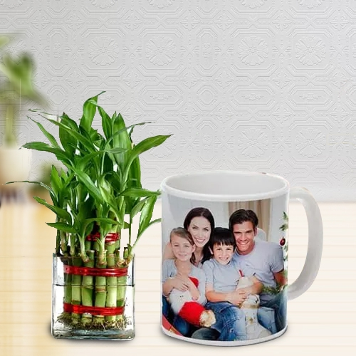 Just For You Gift of 2 Tier Lucky Bamboo Tree in Personalized Coffee Mug