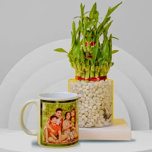 Shop for 3 Tier Bamboo Plant with Personalized Coffee Mug