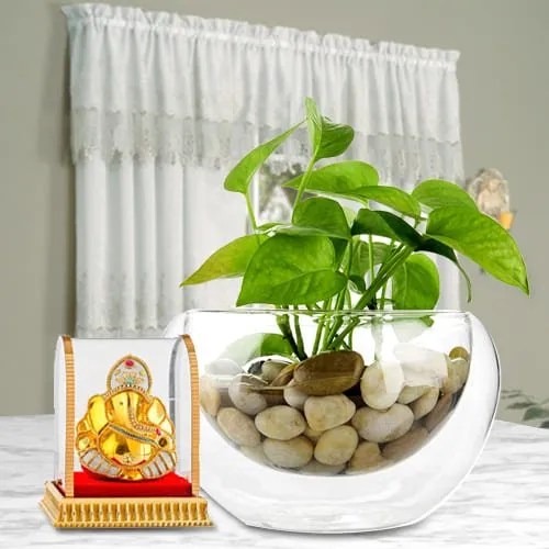 Shop for Lord Ganesha Idol with Money Plant in Glass Vase
