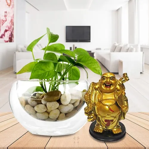 Marvelous Money Plant in Glass Vase with Laughing Buddha