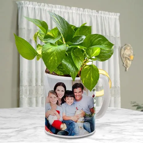 Enticing Moms Day Gift of Money Plant in Personalized Coffee Mug