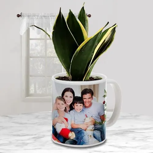 Graceful Gift of Milt Sansevieria Plant in a Personalized Mug
