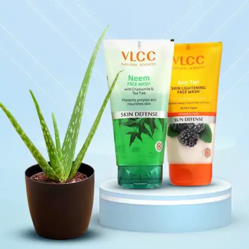 Beautifying VLCC Face Wash and Aloe Vera Plant Gift Combo