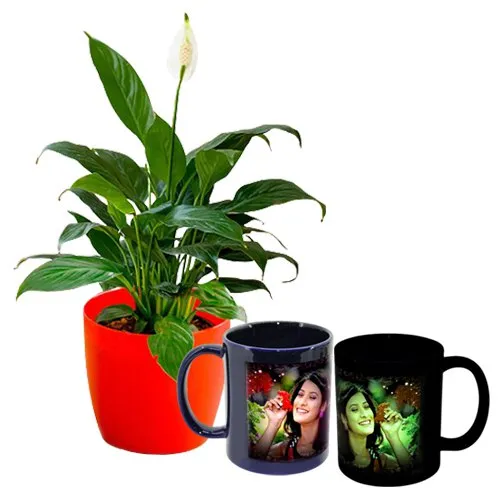 Indoor Air Purifying Peace Lily with Personalize Radium Mug Duo