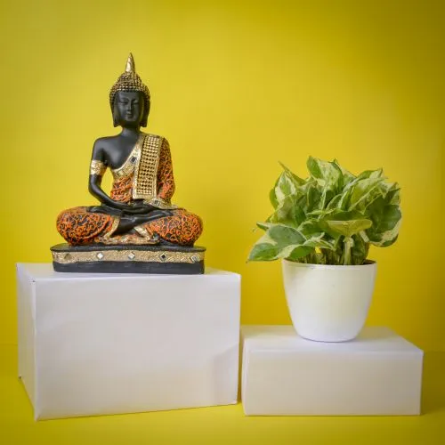 Air Purifying Golden Pothos Plant n Aesthetic Buddha Idol Combo