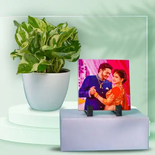Aesthetic Air Purifying Golden Pothos n Photo Table Clock Duo