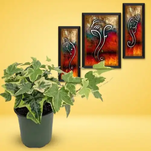 Air Purifying English Ivy Plant With Classic Home Decor Ganesha Art