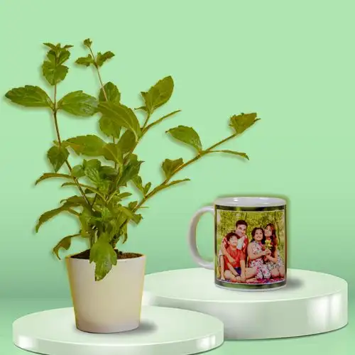 Impressive Vringraj Plant with Personalize Coffee Mug Duo