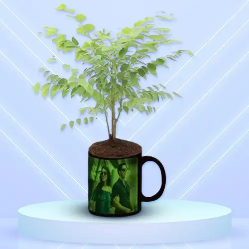 Attractive Amla Plant with Personalized Radium Mug Gift