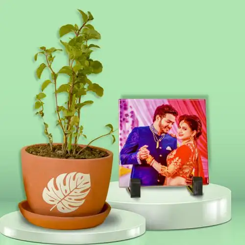 Fantastic Combo of Pudina Plant N Personalized Photo Tile
