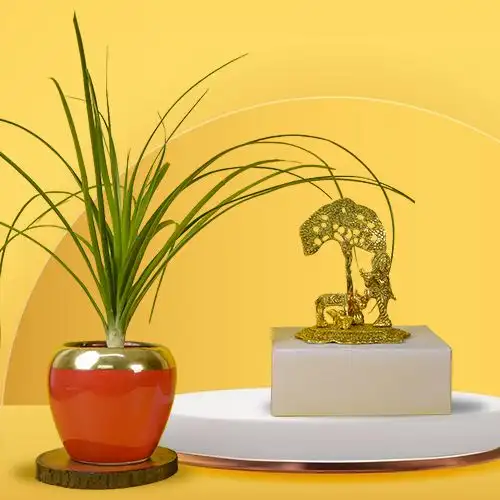 Remarkable Pair of Pony Tail Palm Plant with Metal Krishna Showpiece