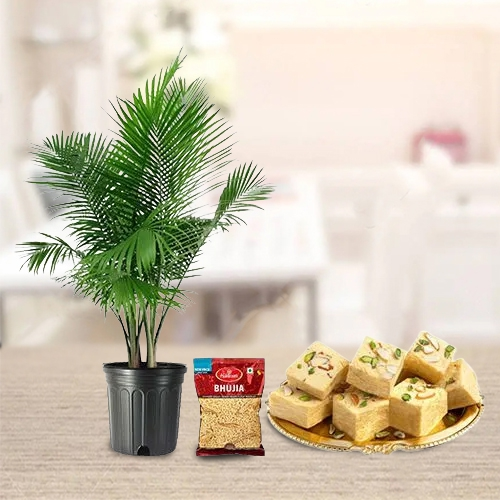 Evergreen Majesty Palm Plant with Sweet N Savory Delicacy