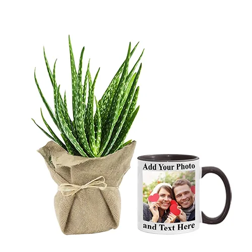 Evergreen Jute Wrapped Aloe Vera Plant N Customize Coffee Mug Pair