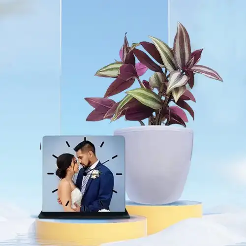 Distinctive Combo of Inch Plant N Personalized Photo Table Clock