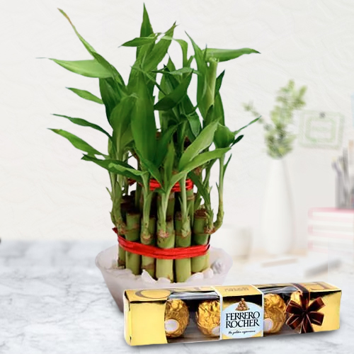 Shop for 2 Tier Bamboo Plant with Ferrero Rocher Chocolates