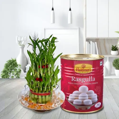 Deliver 2 Tier Lucky Bamboo Plant with Haldirams Rasgulla