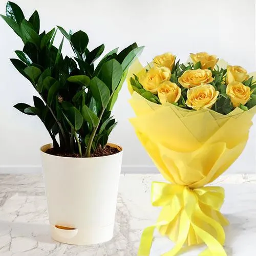 Send Zamia Air Purifier Plant with Yellow Roses Bouquet Online