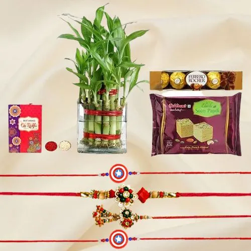 Remarkable Family Rakhi N 2 Tier Bamboo Plant Collection