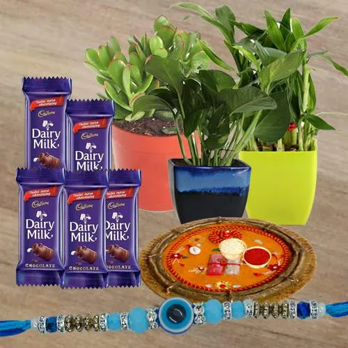 Prosperity & Protection Rakhi Hamper