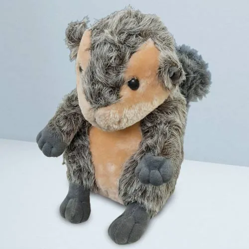 Deliver Squirrel Soft Toy