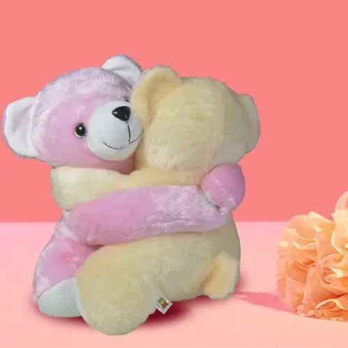 Beautiful Hugging Teddy Gift