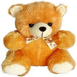 Send Teddy Bear Soft Toy
